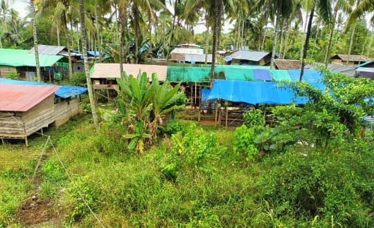 IMG-20251110-WA0076~2