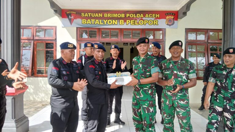 IMG-20251116-WA0002(1)