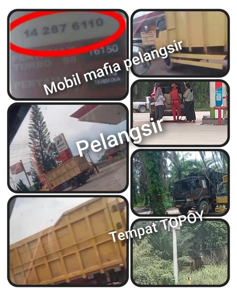 IMG-20251130-WA0228(1)