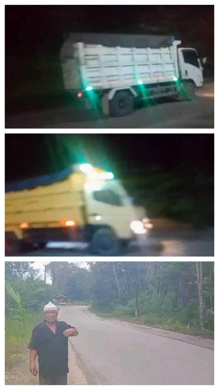 20260215_153832-COLLAGE